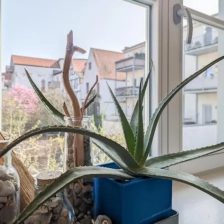 Strelapartment By Meinke Mitten In Der Altstadt * Stralsund