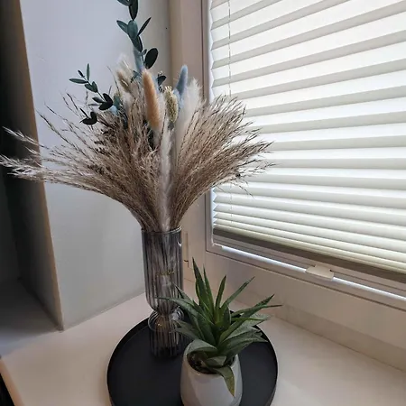 Strelapartment By Meinke Mitten In Der Altstadt Apartament Stralsund